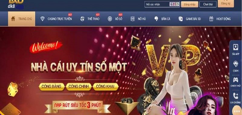 Giới thiệu DK8 nhà cái hàng đầu Việt Nam